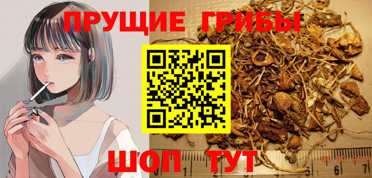 Ангарск  цена   Вход с VPN  Галлюциногенные грибы мицелий 